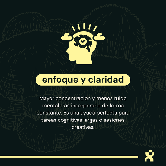 Infografía de Melena de León destacando beneficios en enfoque, claridad mental y concentración para tareas creativas.