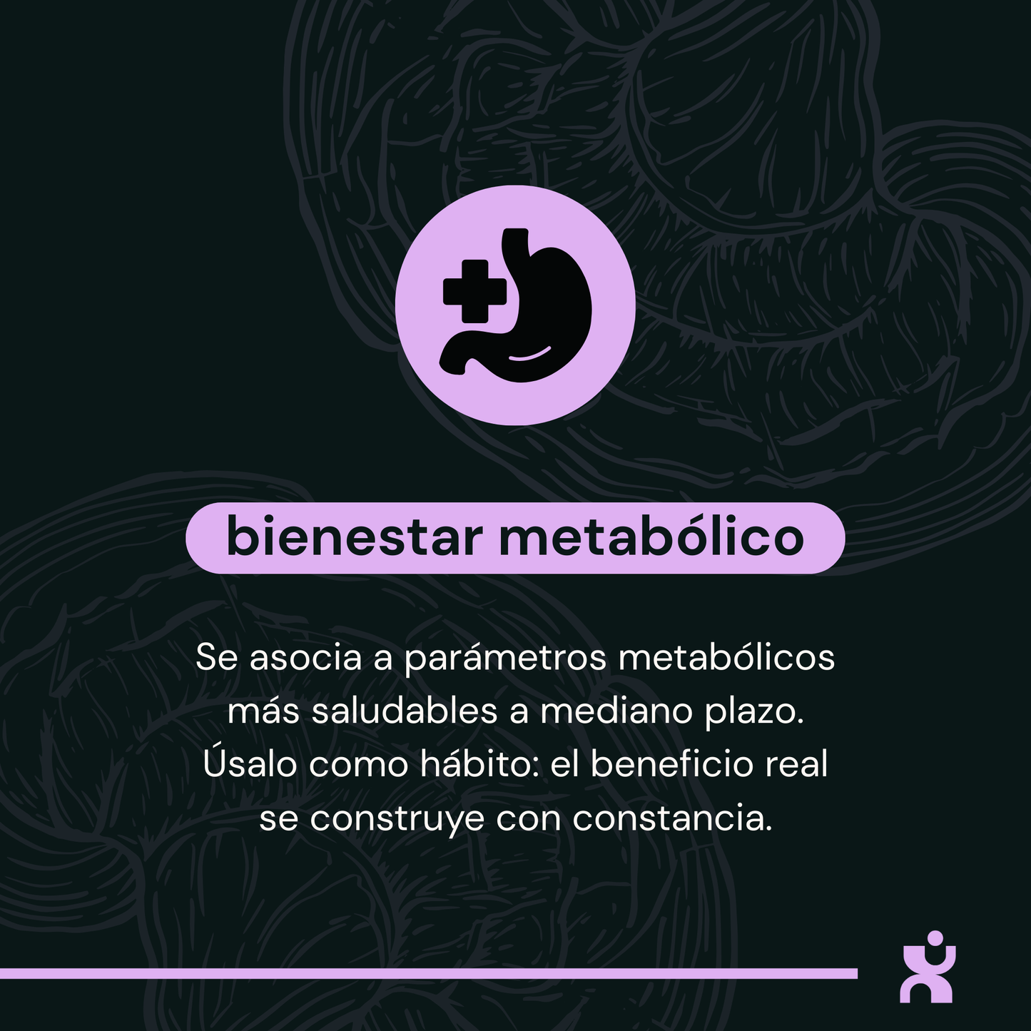 Infografía de Reishi sobre bienestar metabólico con icono de estómago y texto sobre salud a mediano plazo en cápsulas.
