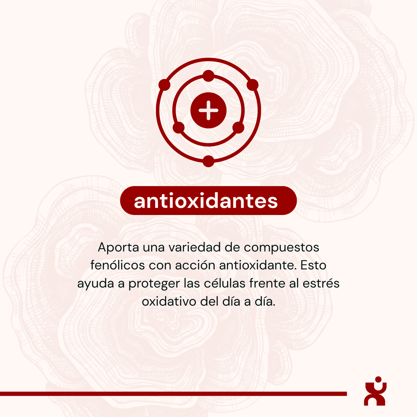 Cola de Pavo - Cápsulas