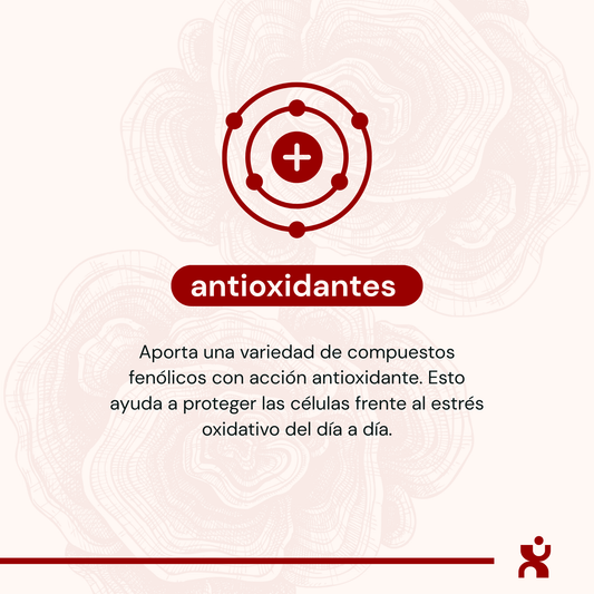 Cola de Pavo - Cápsulas