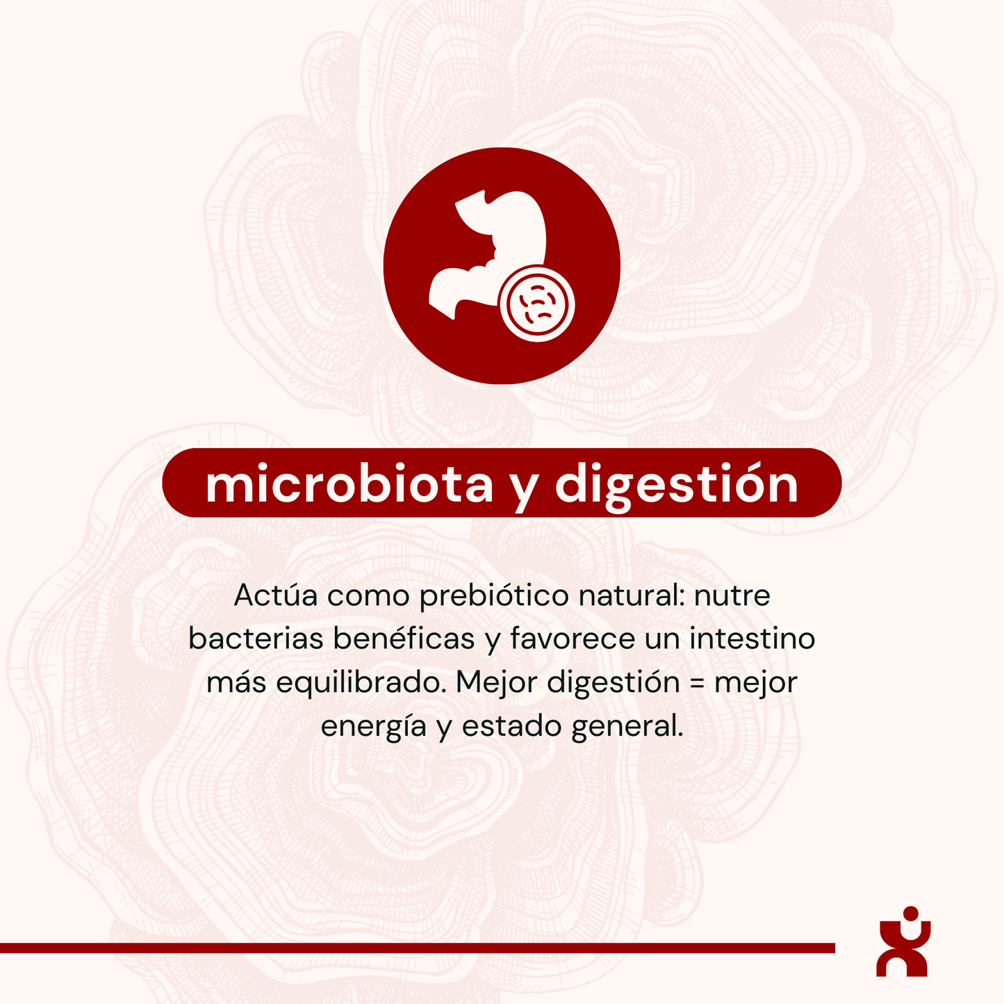Cola de Pavo - Cápsulas