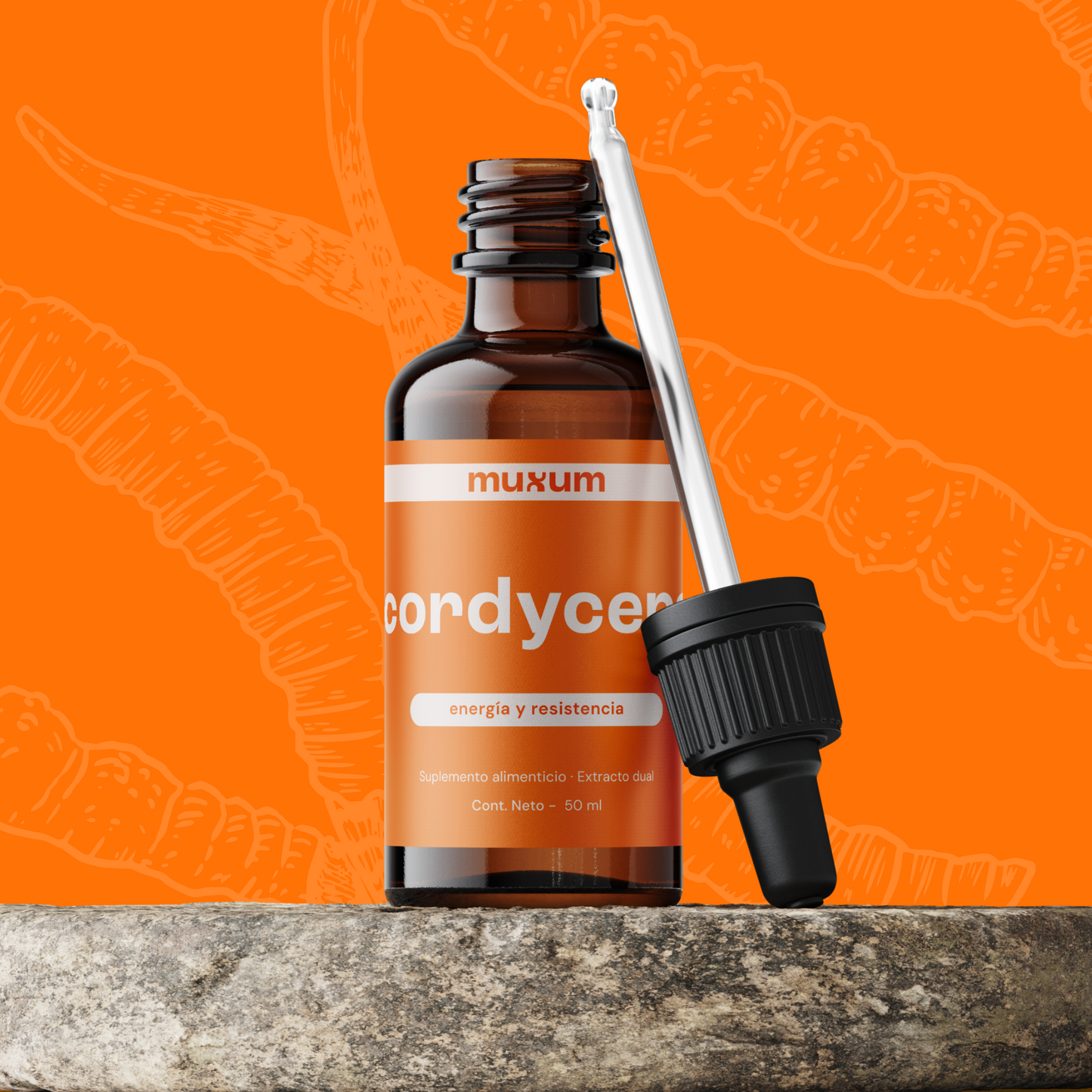 Extracto líquido de Cordyceps Muxum en frasco ámbar de 50ml sobre piedra, suplemento para energía y resistencia.