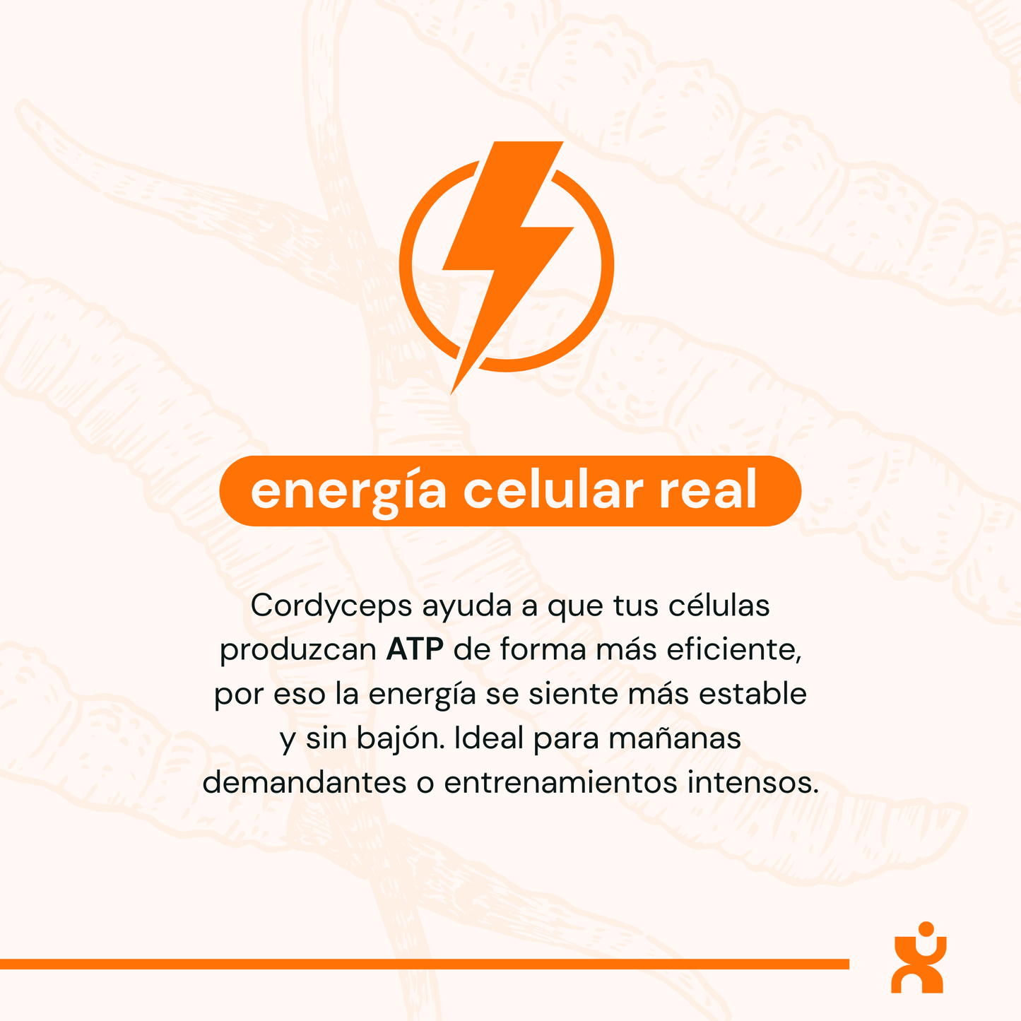 Cordyceps - Cápsulas