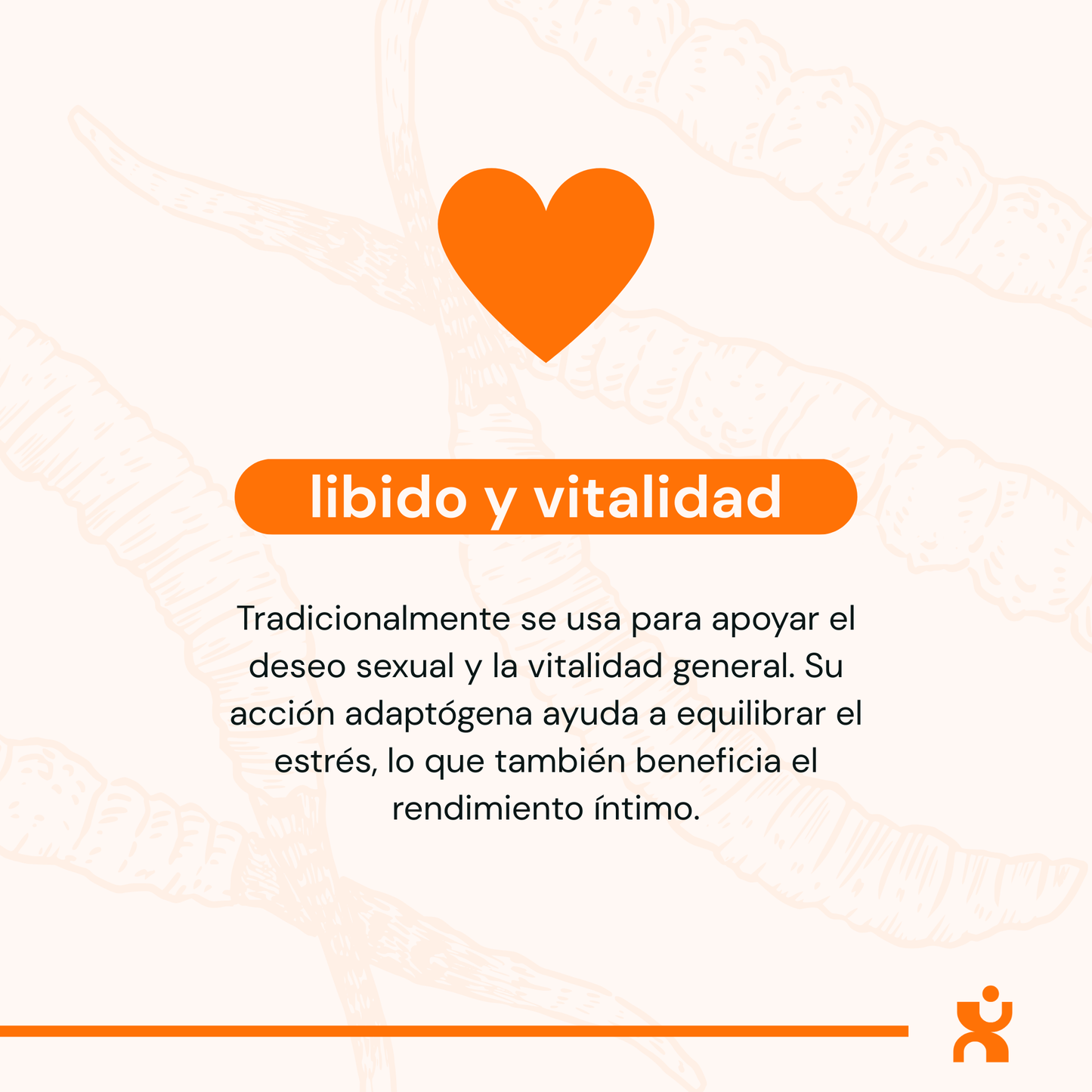 Cordyceps - Cápsulas