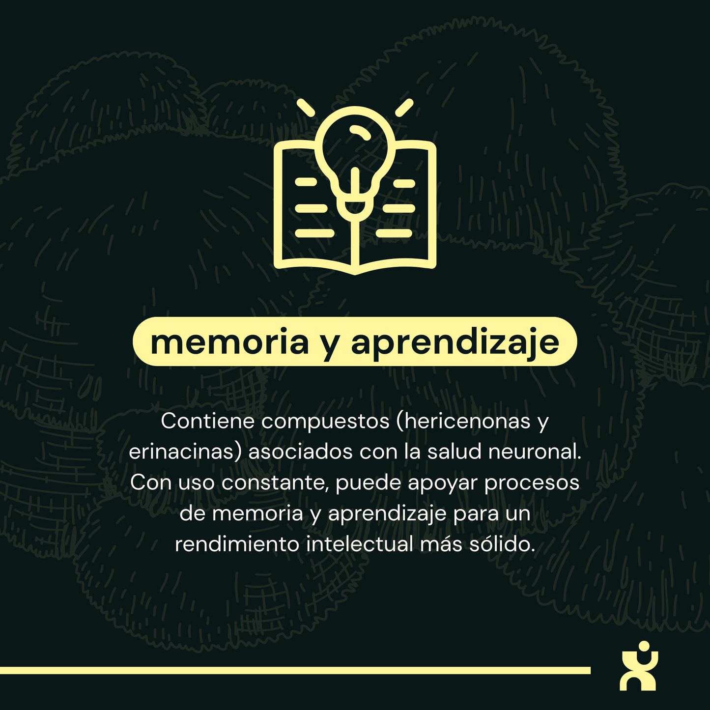 Melena de León - Extracto