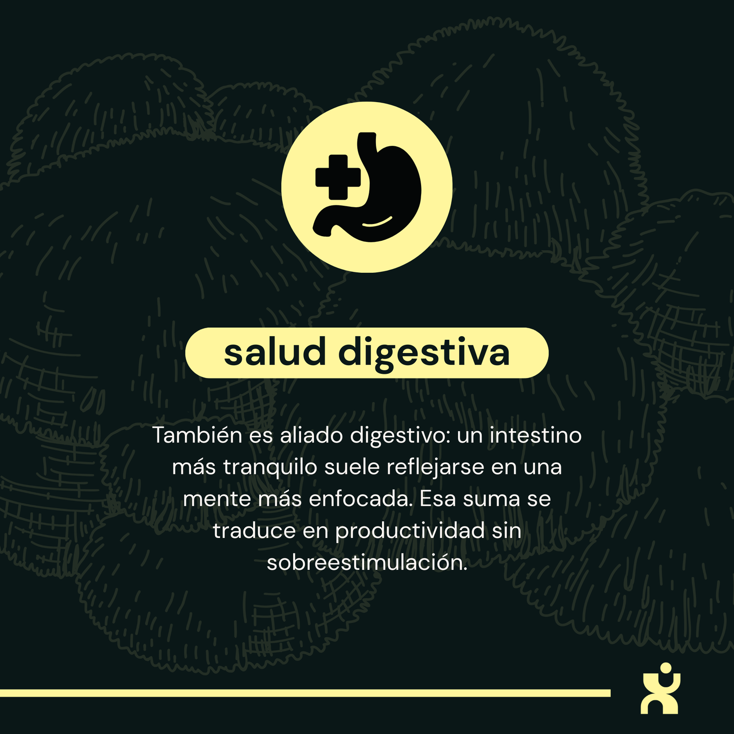 Melena de León - Extracto