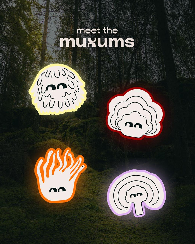 Historia muxum