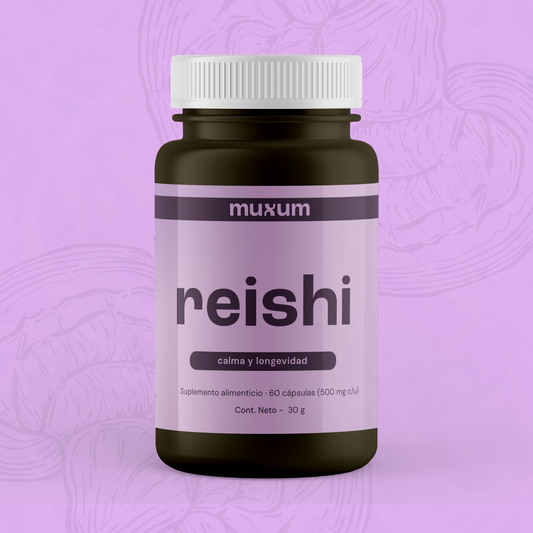 Reishi - Cápsulas
